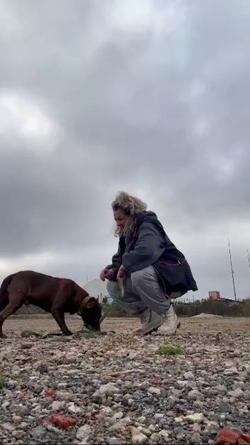 rutube.ru
