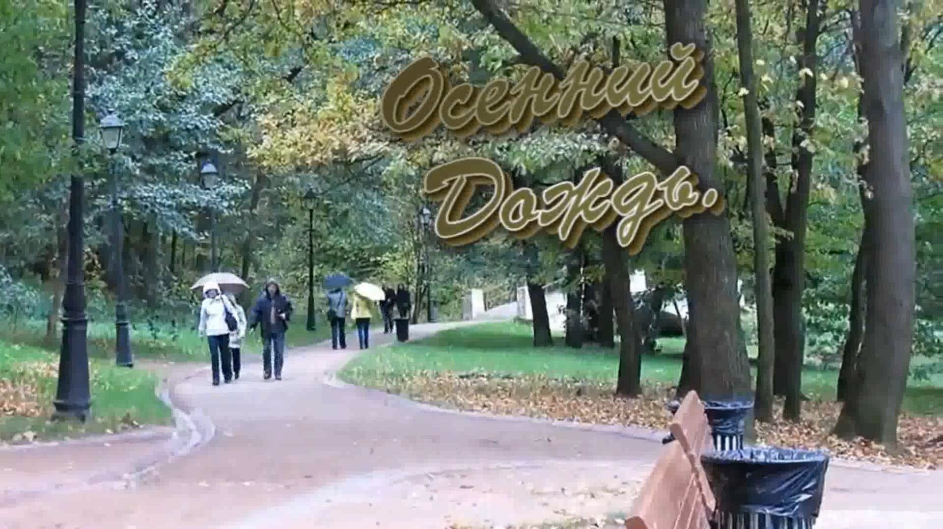 (шансон)   Осенний дождь!