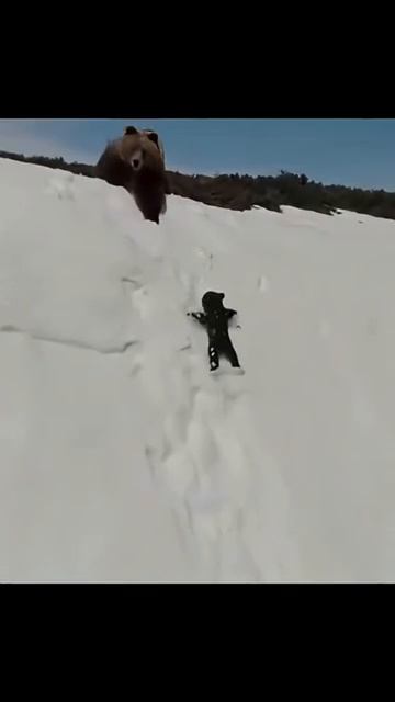 НЕ ЗДАВАЙТЕСЬ и у тебя всё получится