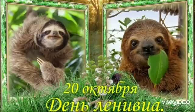 *** 20 ОКТЯБРЯ – МЕЖДУНАРОДНЫЙ ДЕНЬ ЛЕНИВЦА ***