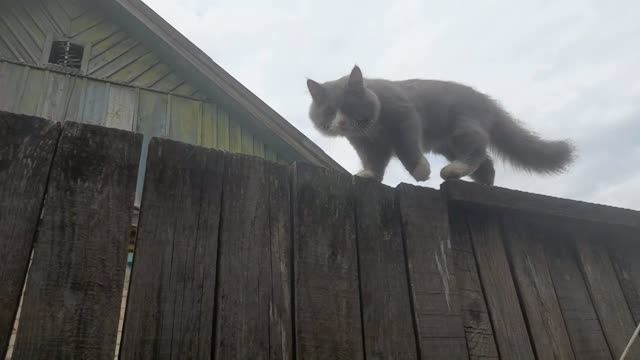 РАЗНОЕ