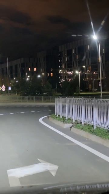 Лиса в Иннополисе