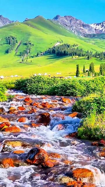 🌿 ЛУГОВАЯ РЕКА среди камней 💧 Звуки горного ручья для СНА и РЕЛАКСАЦИИ.