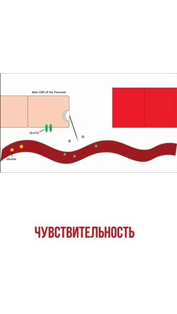 ЛЕКЦИИ