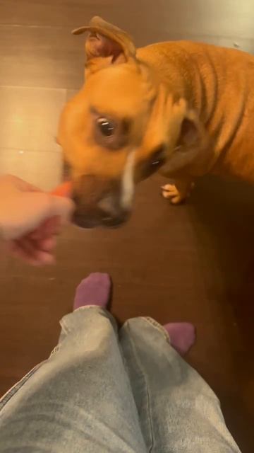 rutube.ru