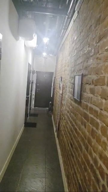 исп5 от 20.10