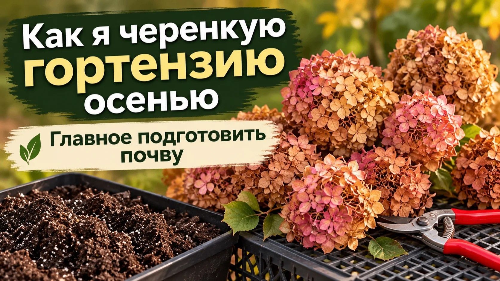 Сад и огород. Дачникам