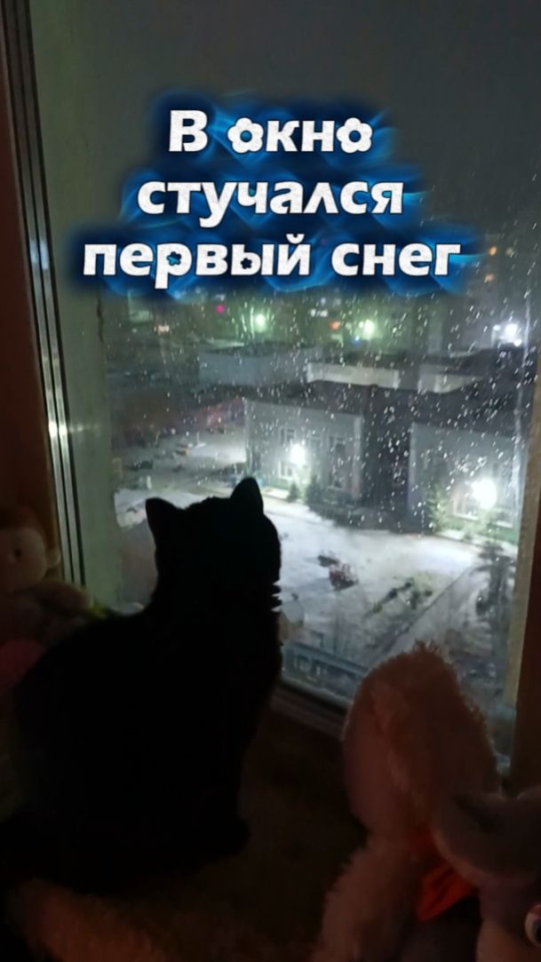Природа Севера