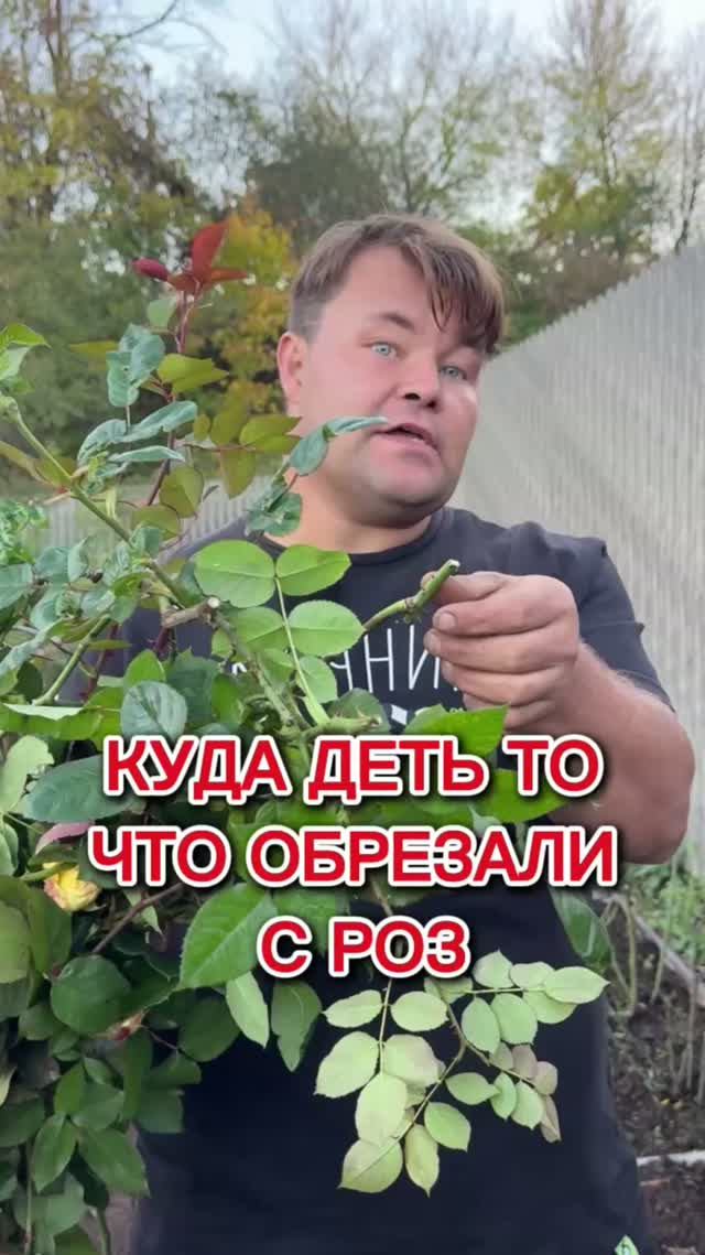 ПроЦветы