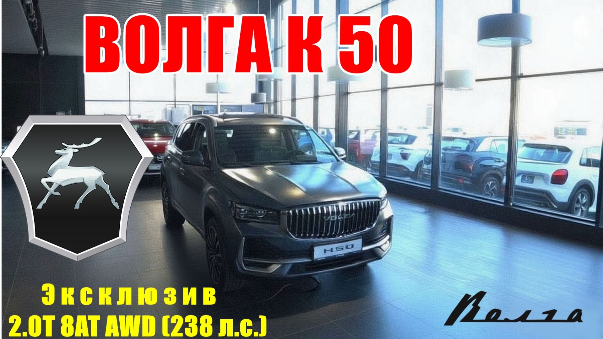 ВОЛГА К50 САМЫЙ ЖИР - ЧТО ВХОДИТ, СТОИТ ЛИ ПЕРЕПЛАЧИВАТЬ