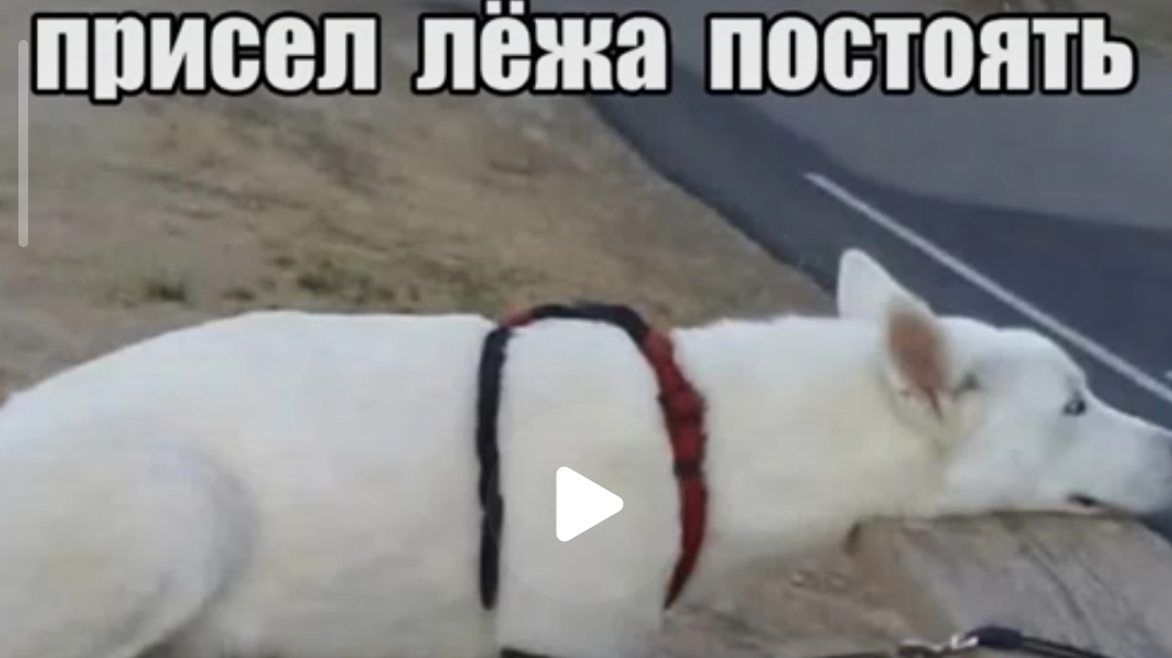 майн