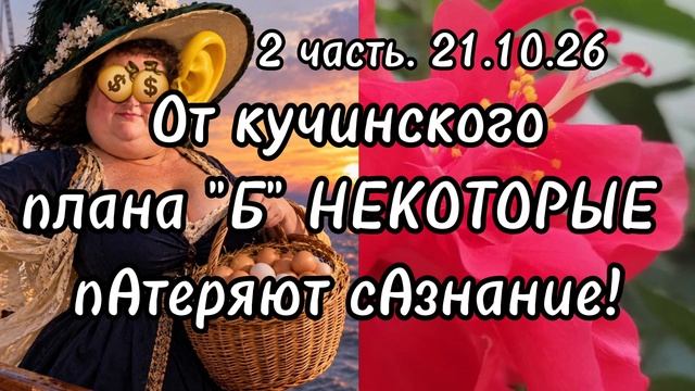 2 часть. От кучинского плана "Б" НЕКОТОРЫЕ пАтеряют сАзнание❗️