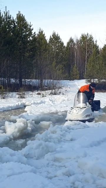 Буран топчет наледь.