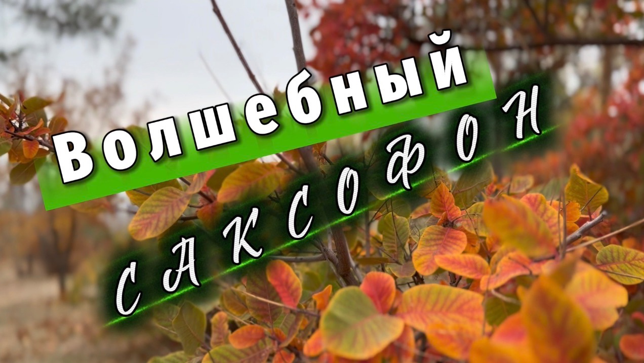 Саксофон
