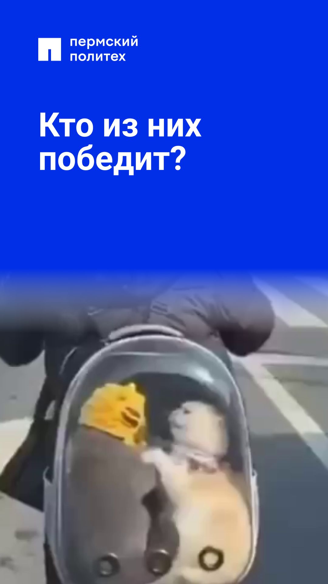 Кто из них победит?