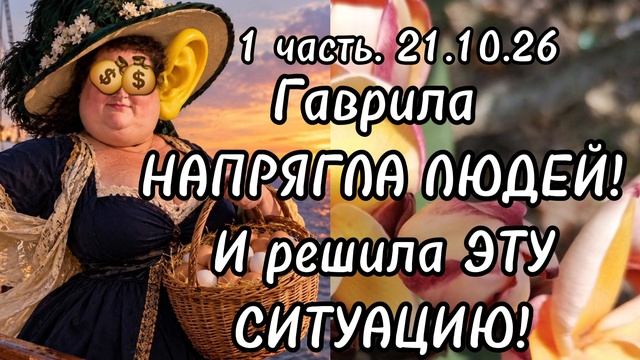 1 часть. Гаврила НАПРЯГЛА людей и решила ЭТУ ситуацию❗️