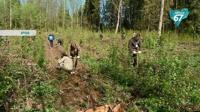 В Смоленской области подвели итоги лесокультурного сезона