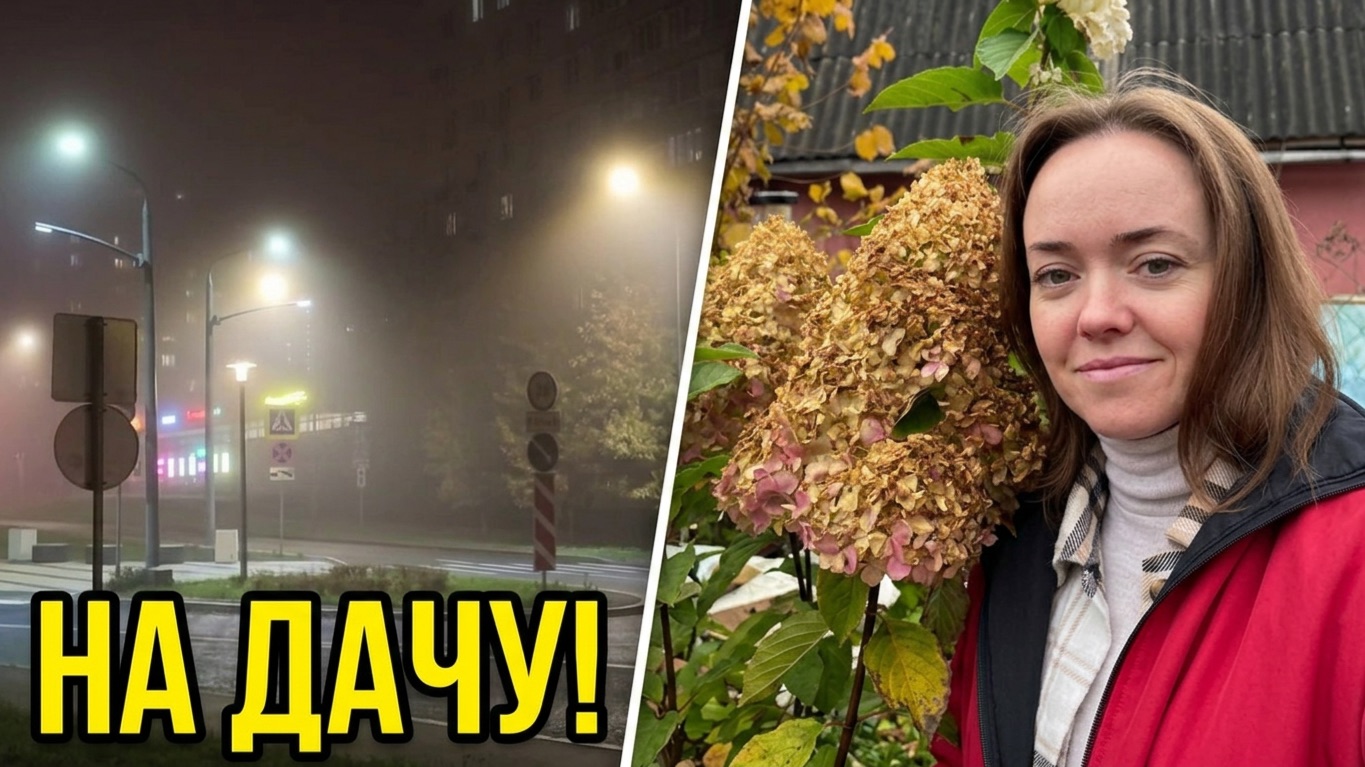 Не были на даче месяц! Поехали в густой туман 😱
