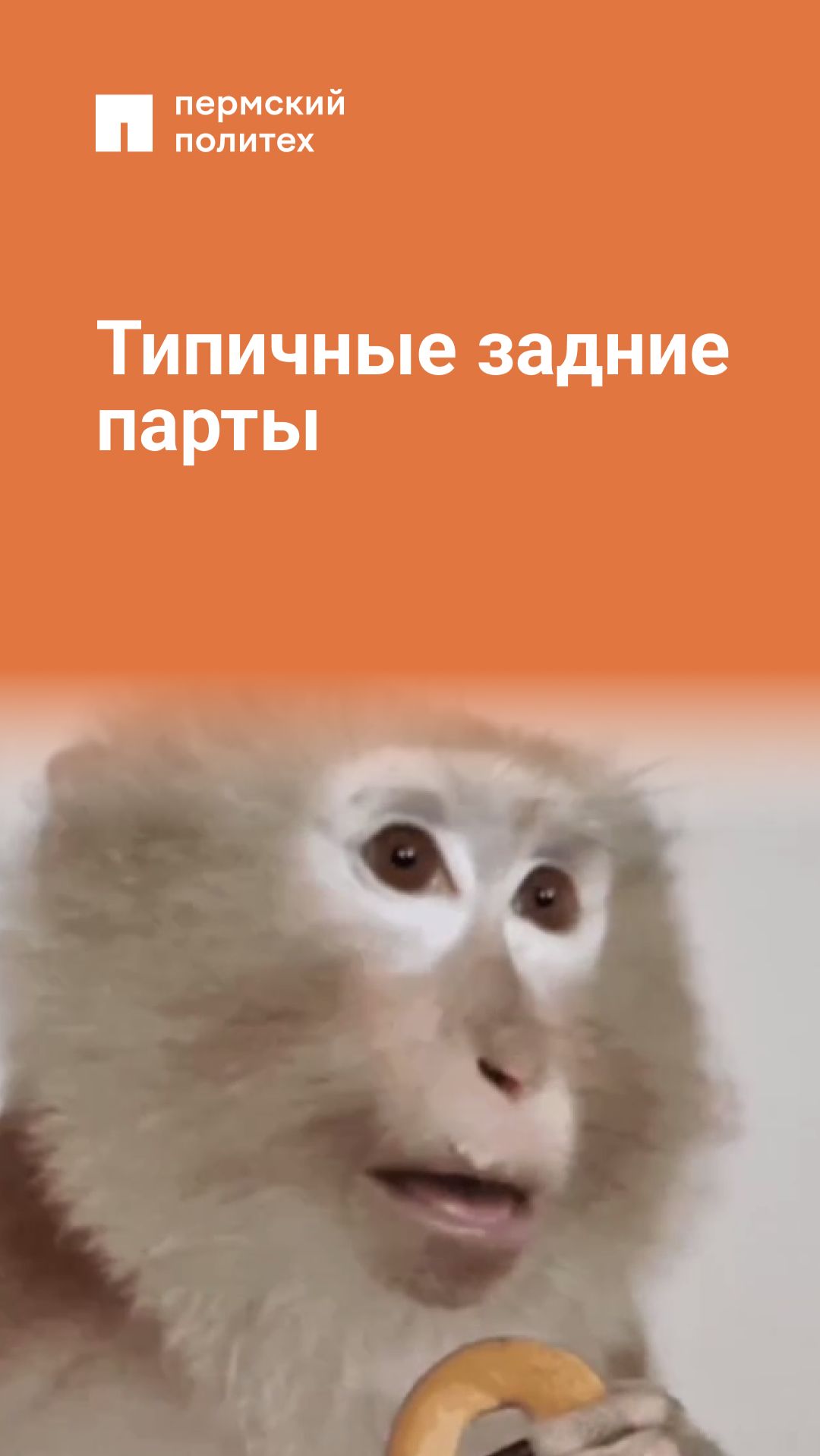 Типичные задние парты