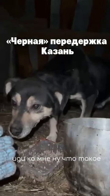 "Черная" передержка Казань