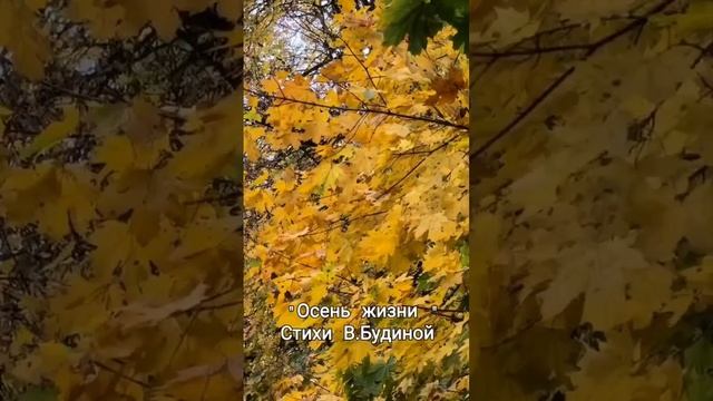 ОСЕНЬ ЖИЗНИ. ( Стихи В. Будиной)