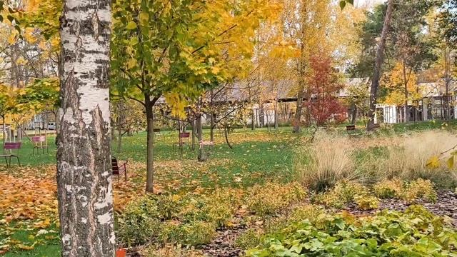 Осенний парк Ленина Белгород 21.10.26.