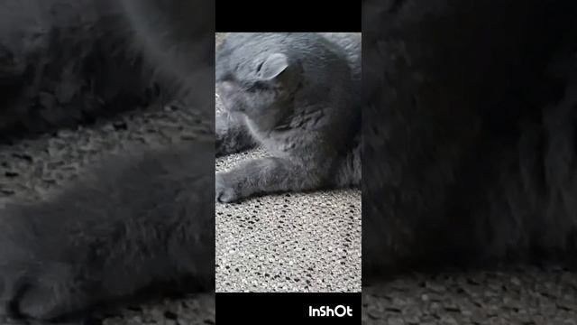 Хорошие стихи