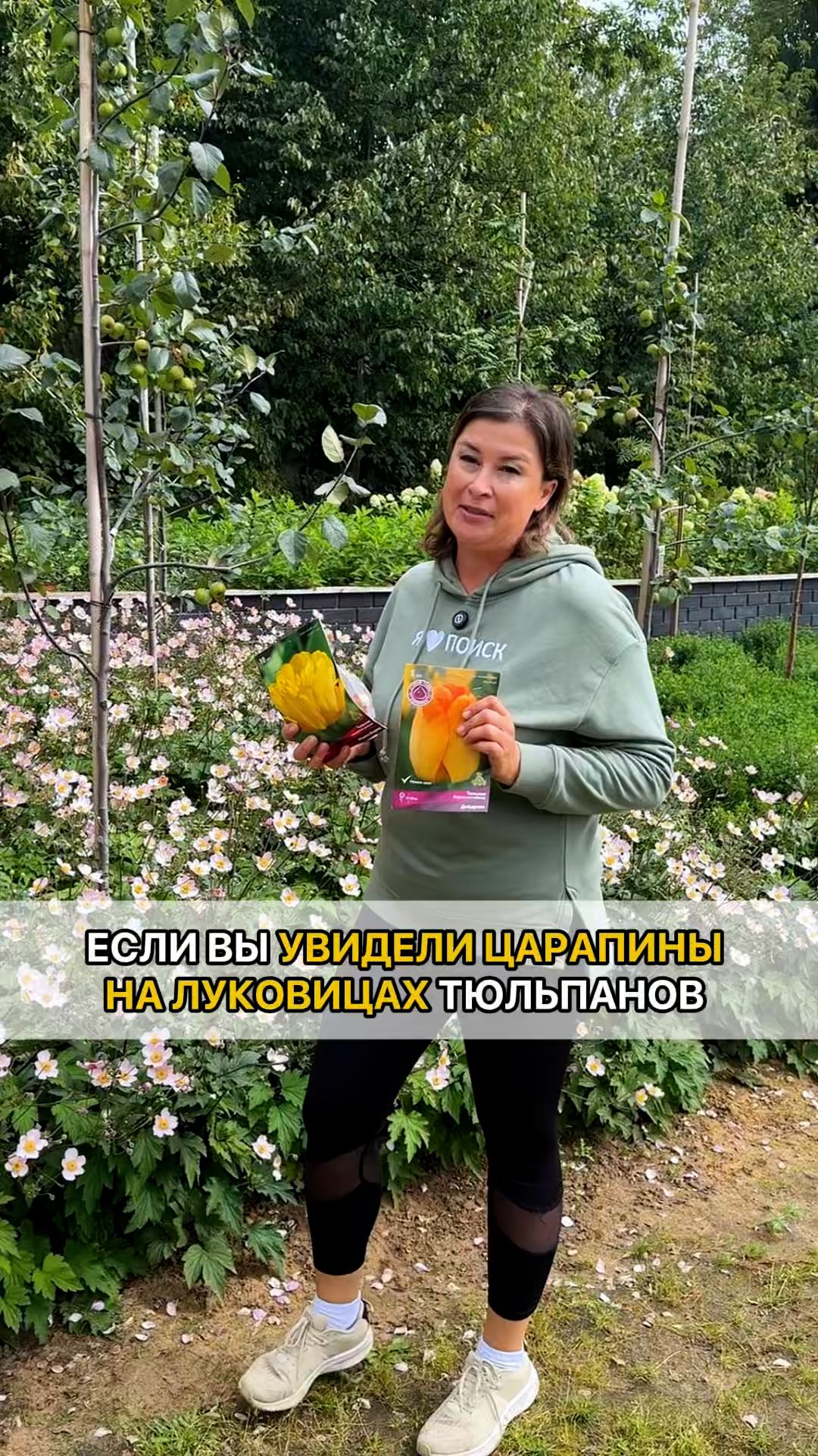 Луковичные цветы