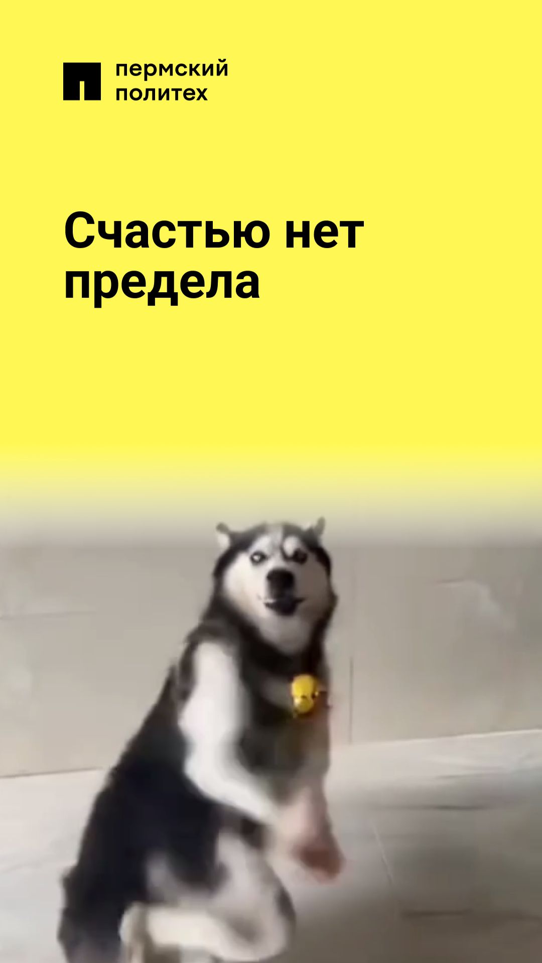 Счастью нет предела