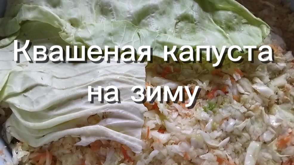 Заготовки на зиму