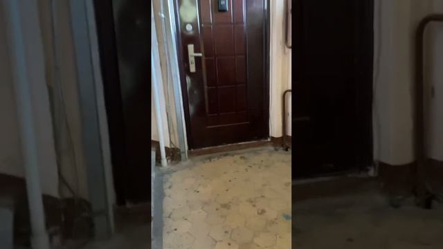 кир студия 21.10