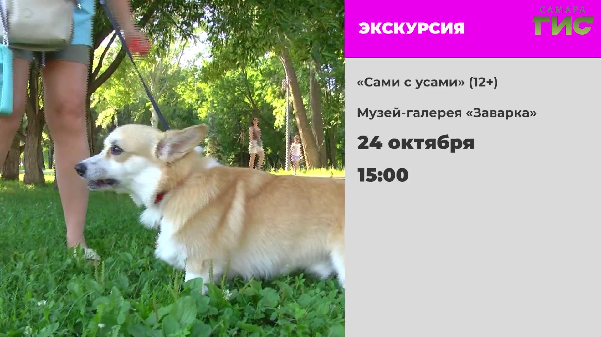 ″Афиша″