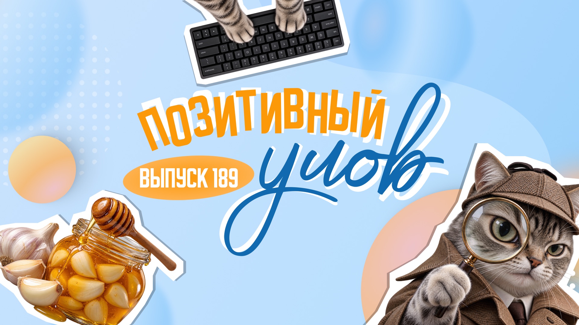 Кот-ищейка и ноутбук для хвостатых. "Позитивный улов"