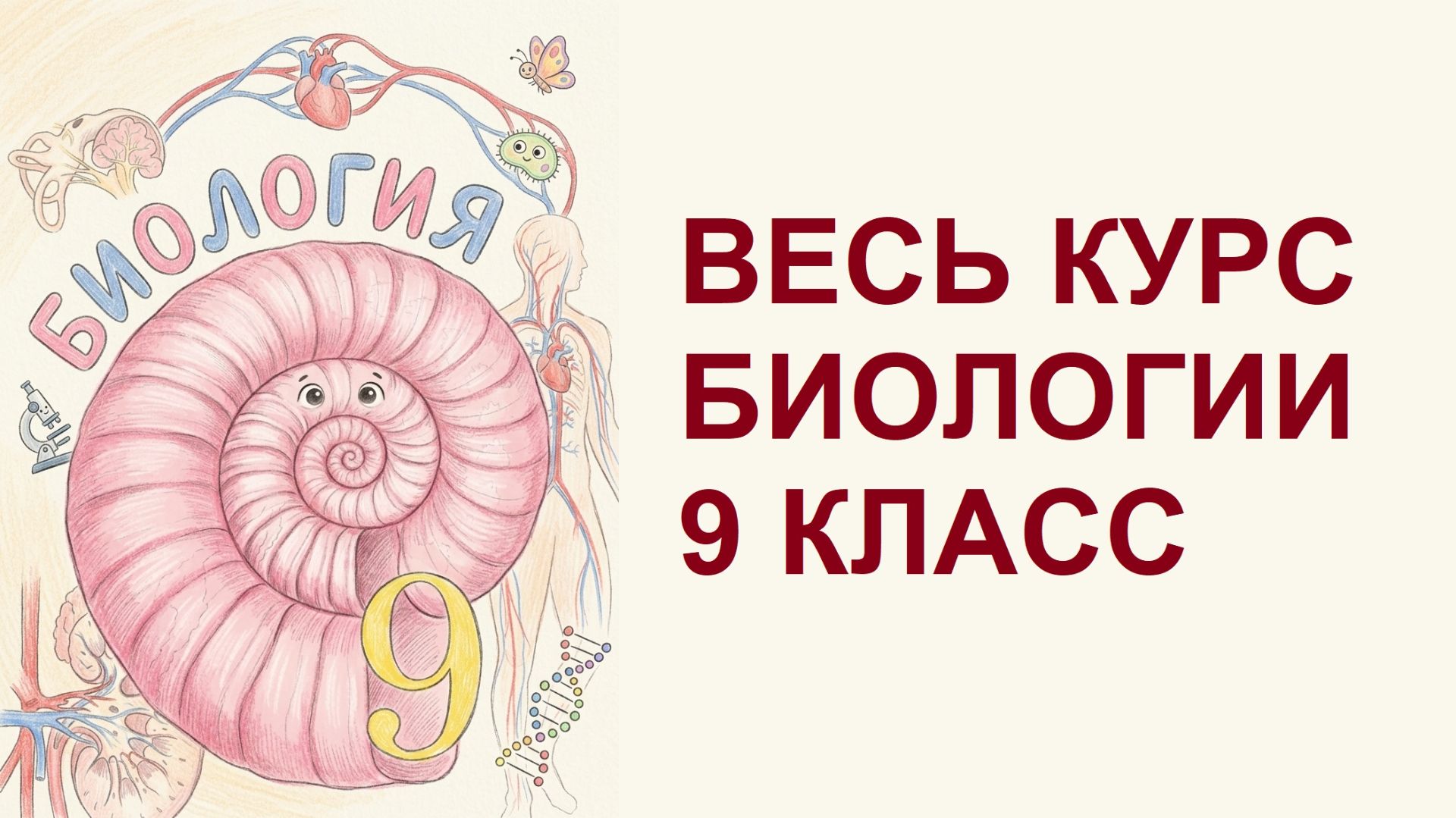 Биология 9 класс Пасечник краткое содержание параграфов