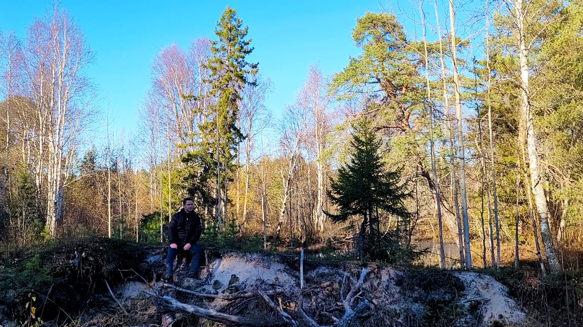 Блогерский дневник