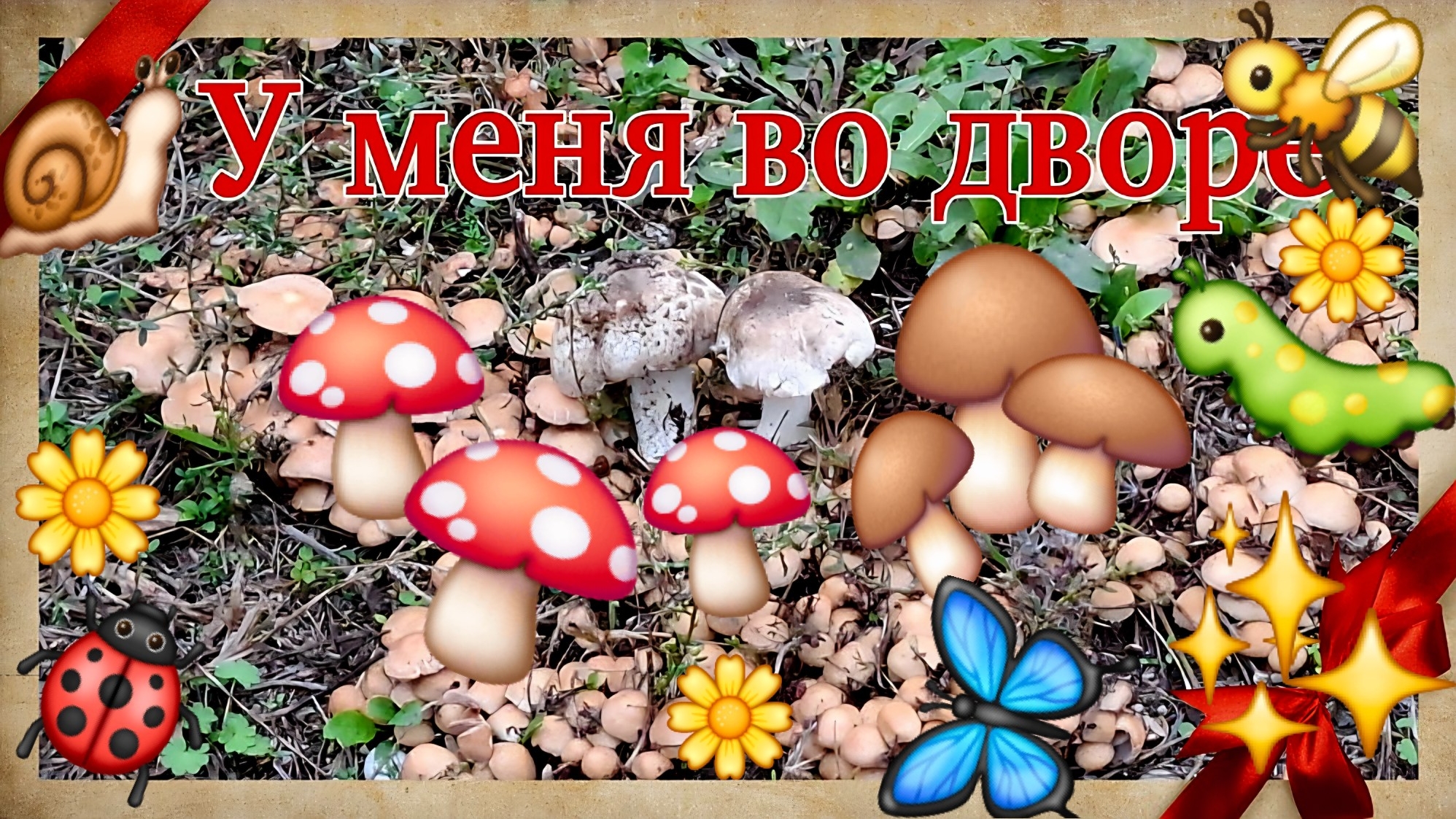 Александровка. Ведьмины круги. Сколько же их!  Прям нашествие!