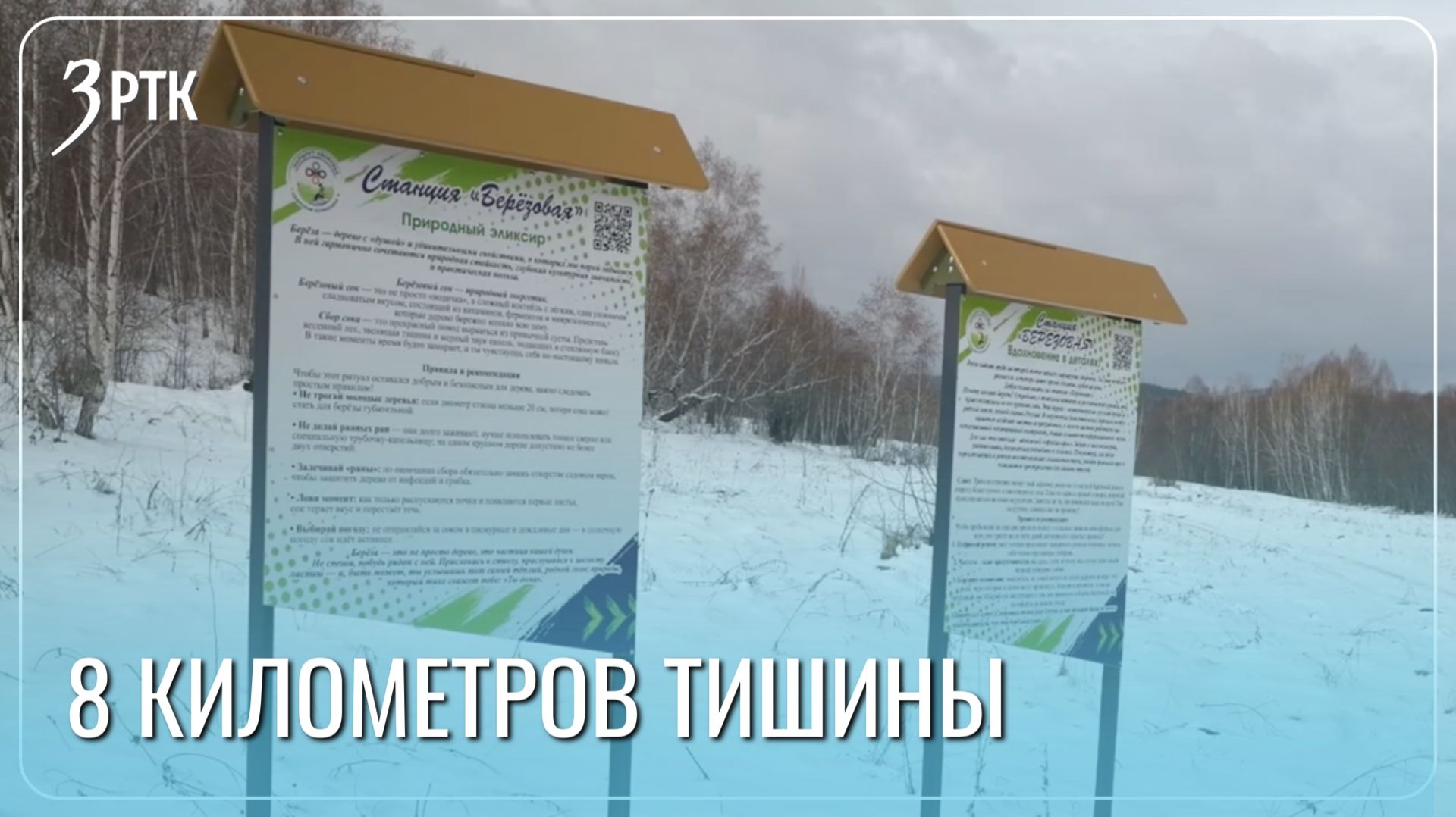 Цифровой детокс открылся в селе Колочное-2