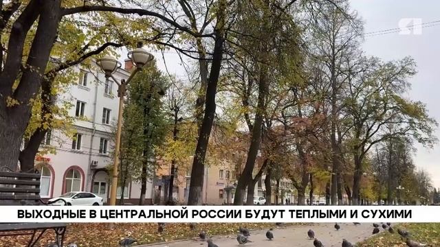 Синоптик Ксения Голова рассказала о погоде в Ярославской области на 24 и 25 октября