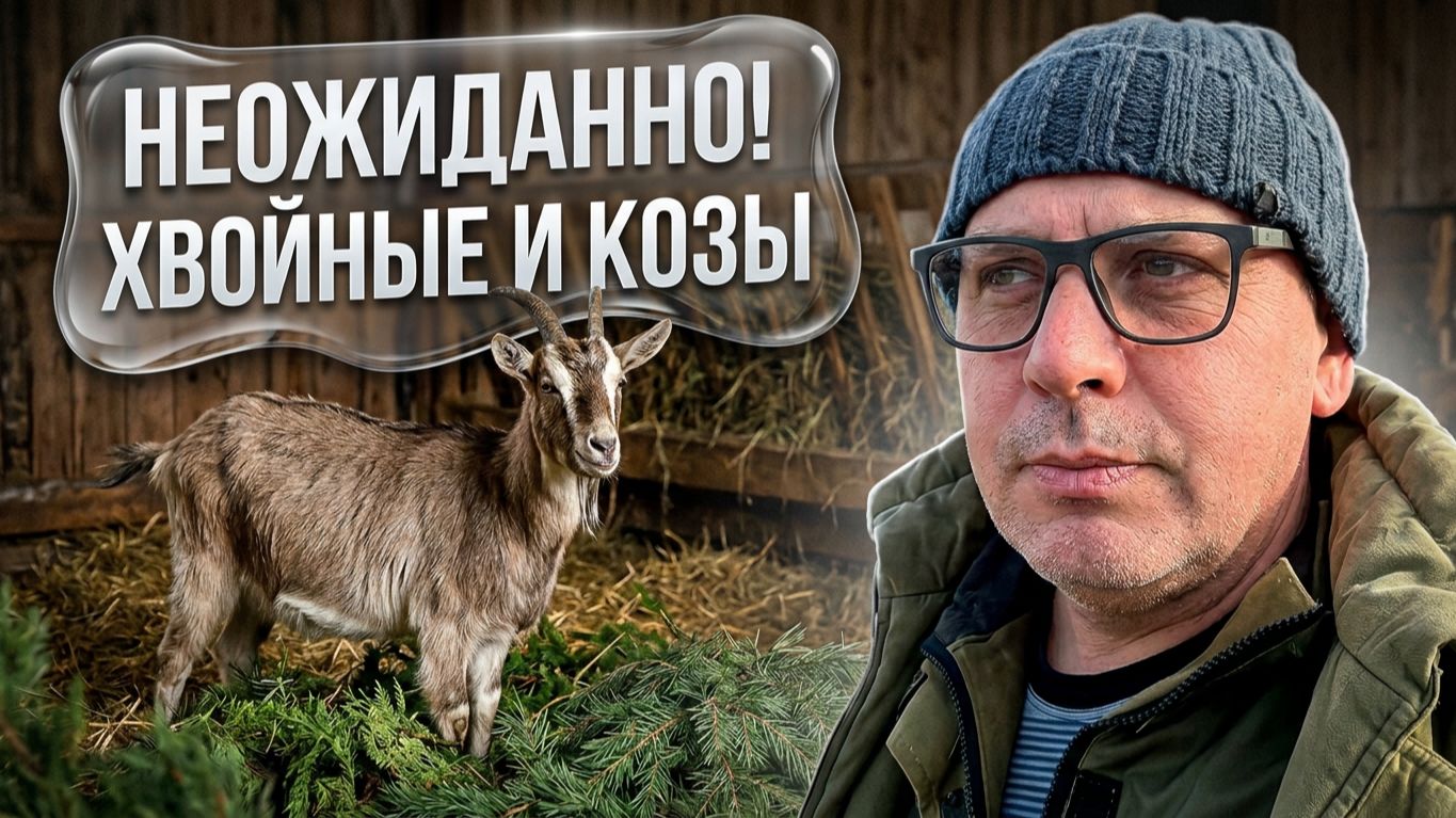 НЕДЕЛЯ ПОШЛА НЕ ПО ПЛАНУ! 🌲😱 Озеленили участок и приехали гости 🐐