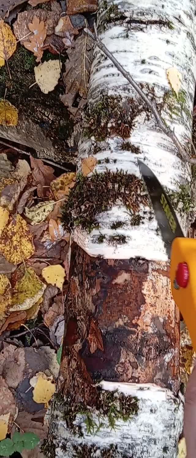 Красивые виды