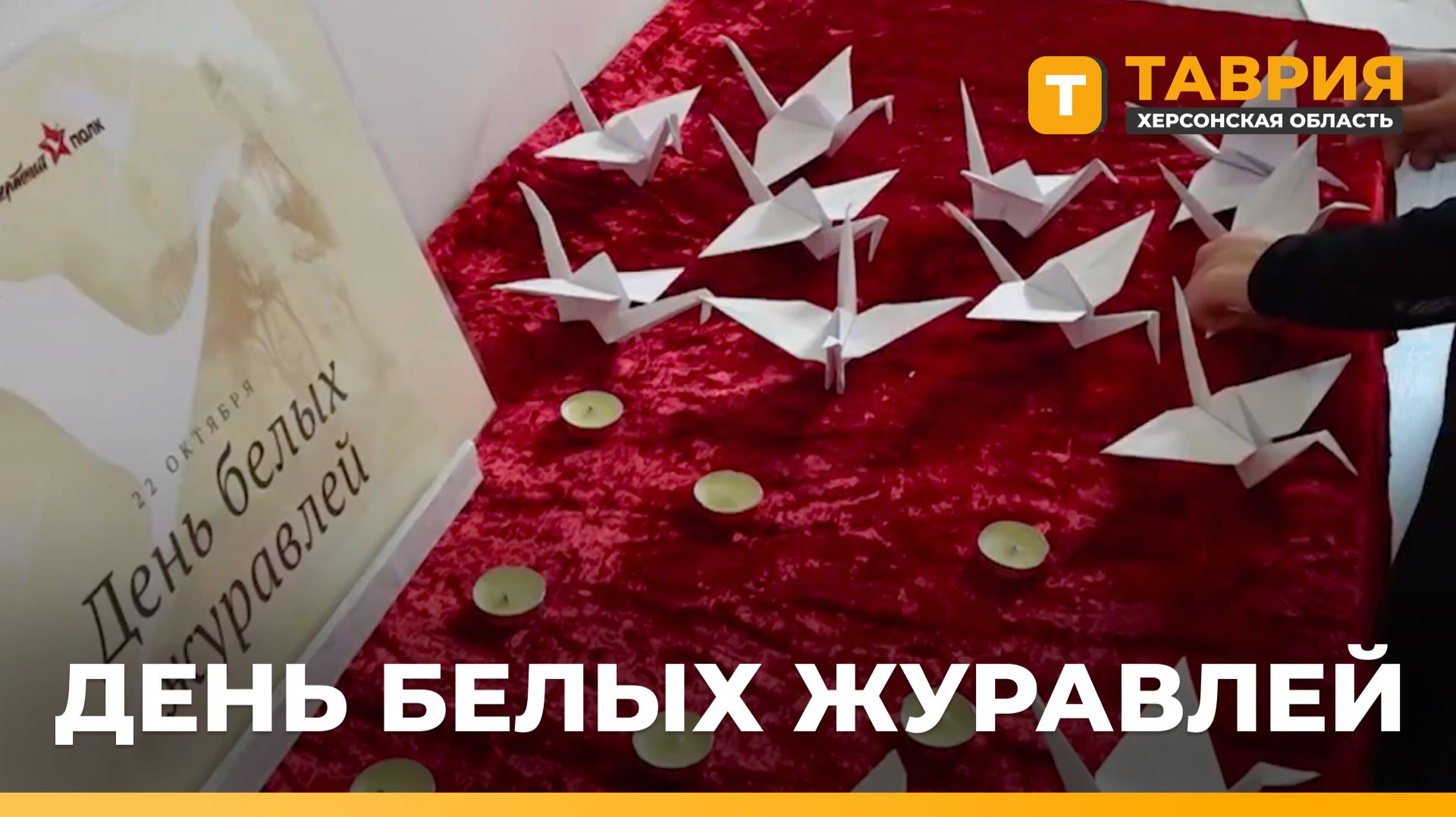 В Геническе отметили День белых журавлей
