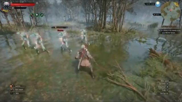 Witcher III