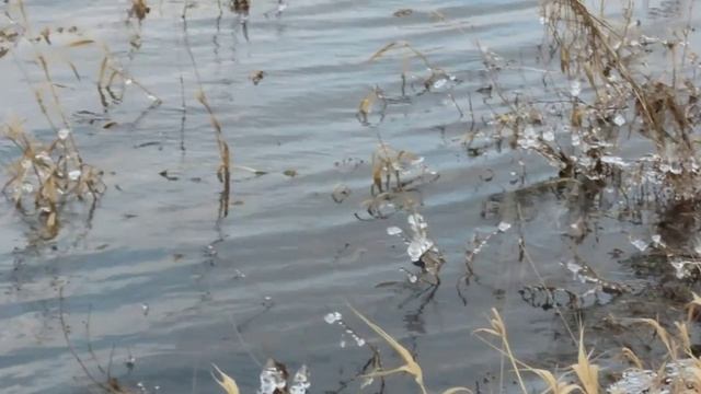 Озеро Красное, Суховское в Кемерово
