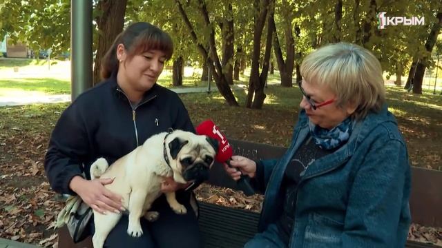 Клуб Шико. Мопсы. Выпуск от 24.10.26