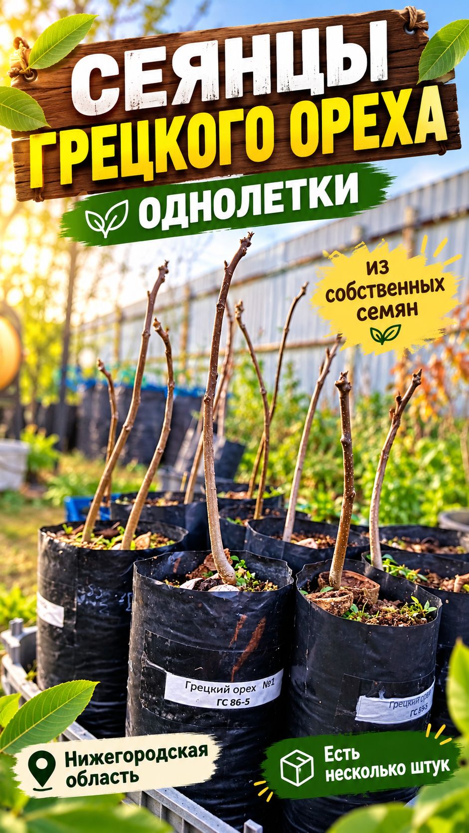 Ореховая Аллея