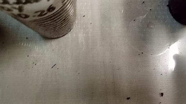 Саммер Сноу