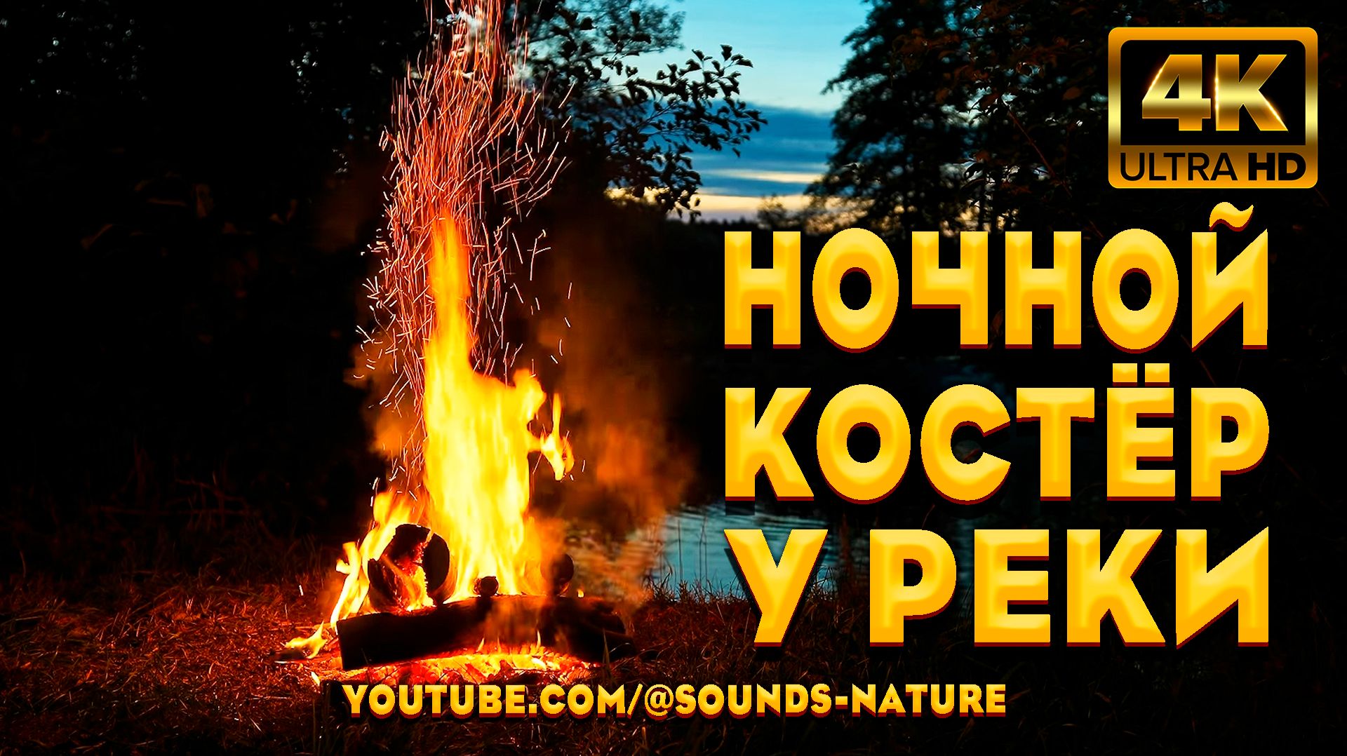🔥 Ночной Костер У Реки 🦉 Сон И Расслабление Под Пение Соловья 🌲 Звуки Природы АСМР