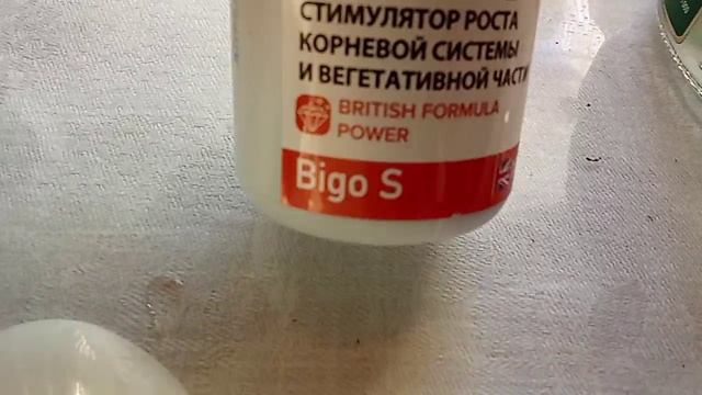Литл Квик Файер
