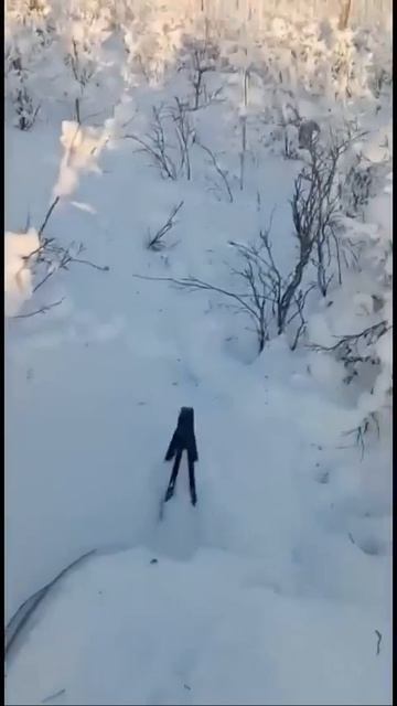 Вертушка от лося