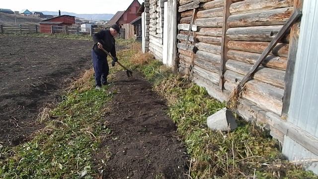 Сад
